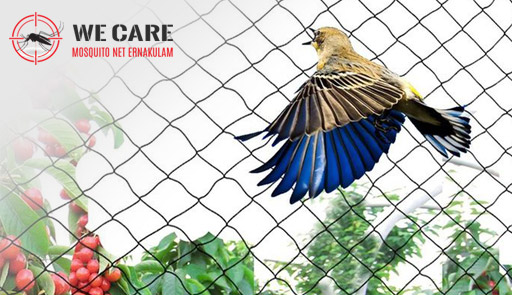 Mosquito net for bird clearance cage